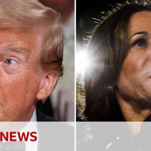 Donald Trump and Kamala Harris make final push for votes in US election | BBC News