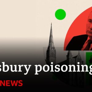 Russia's ambassador to UK appears to appears to laugh and dismiss Novichok inquiry | BBC News