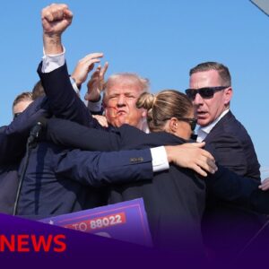 How Donald Trump made an ‘extraordinary’ political comeback | BBC News