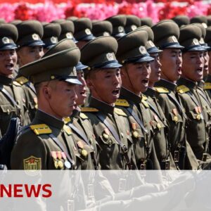 North Korea joins Russia's war against Ukraine, officials say | BBC News