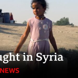 Turkish strikes in Syria cut water to one million people | BBC News