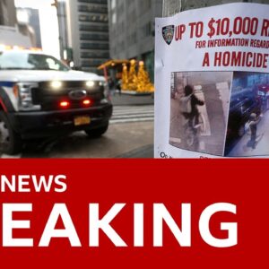 US police question 'person of interest' after killing of CEO in New York | BBC News