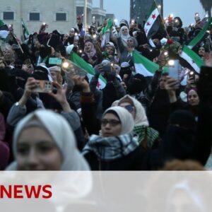 Syrians living in Europe celebrate fall of Assad after fleeing civil war | BBC News