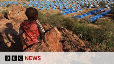 People in Darfur used 'as pawns in Sudan civil war', says UN | BBC News