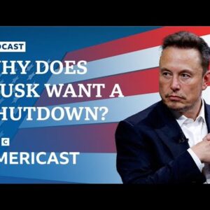 Why has Elon Musk been pushing for a government shutdown? | BBC News