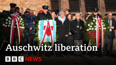 Auschwitz survivors to be joined by world leaders for 80 years since camp's liberation | BBC News