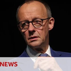 German immigration bill rejected despite far-right backing | BBC News