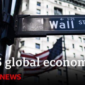 How will the global economy fare in 2025? | BBC News