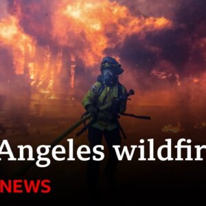 LA fires: Death toll from wildfires rises to 10, officials say | BBC News
