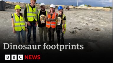 Vast dinosaur footprints found in quarry date back 166 million years | BBC News
