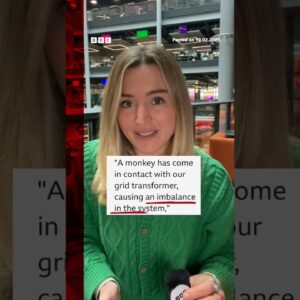 Minister blames monkey for Sri Lanka nationwide power cut. #SriLanka #PowerCut #BBCNews