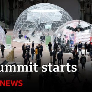 Global AI summit starts in Paris | BBC News