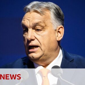 Hungary PM Viktor Orban to meet AfD party leader Alice Weidel | BBC News