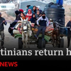 Palestinians return to ruins of north Gaza after Israeli withdrawal | BBC News