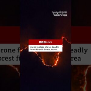 Wildfires have triggered a state of national disaster in parts of South Korea. #SouthKorea #BBCNews