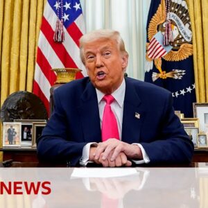 US President Donald Trump pauses some Canada and Mexico tariffs until next month | BBC News