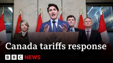 Canadian PM Trudeau retaliates against US and calls Trump's tariffs ‘very dumb’ | BBC News