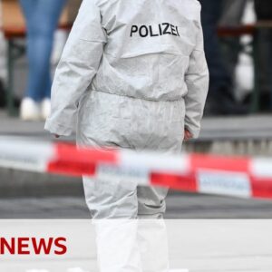 Two dead after car drives into crowd in German city of Mannheim | BBC News