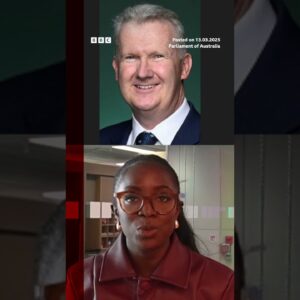 Influencer who stole baby wombat criticised by Australian PM. #Wombat #Australia #BBCNews