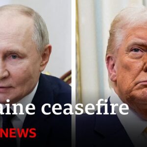 Russia says it will wait for US to present Ukraine ceasefire proposals | BBC News