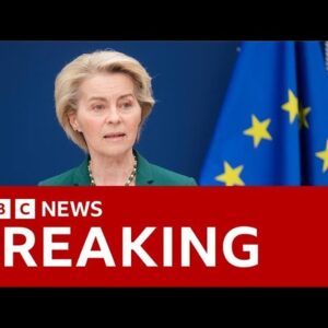 EU puts counter-tariffs on hold for 90 days after US pauses its higher tariffs | BBC News