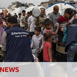 Gaza aid system ‘facing total collapse’, charities warn | BBC News