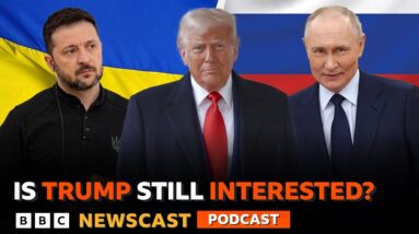 Is Donald Trump still interested in Ukraine-Russia peace talks? | BBC Newscast