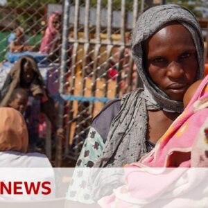 UN says more than 100 civilians killed in Sudan | BBC News