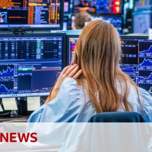 What is the stock market and how does it work? | BBC News
