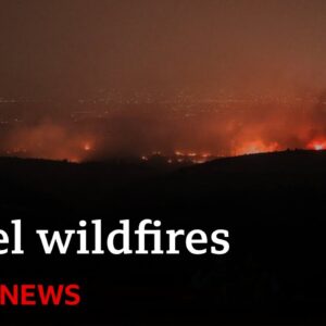 Israel battles worst wildfires in country's history | BBC News