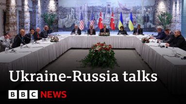 Peace talks between Ukraine and Russia take place in Turkey | BBC News