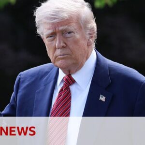 US appeals court reinstates Trump tariff plans | BBC News