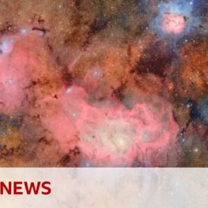 First images from powerful new telescope released | BBC News