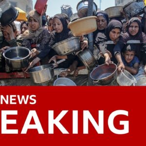 Israel says it will open Gaza aid corridors after international pressure | BBC News