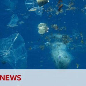 Can robot sharks cleanup our waterways? | BBC News