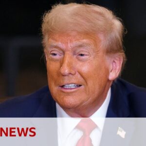 US Judge blocks Donald Trump's birthright order after Supreme Court ruling | BBC News