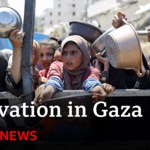 Gaza faces 'man-made mass starvation’, says WHO chief | BBC News