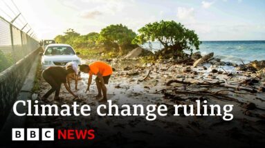 Top UN court says countries can sue each other over climate change | BBC News