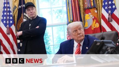Tesla shares down after Elon Musk row with Donald Trump | BBC News