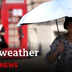 Western Europe saw hottest June on record | BBC News