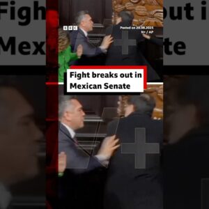 Politicians brawl in Mexican Senate after tense debate. #Mexico #Senate #BBCNews