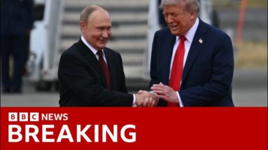 Trump greets Putin with warm smiles and handshakes as they discuss peace in Ukraine | BBC News