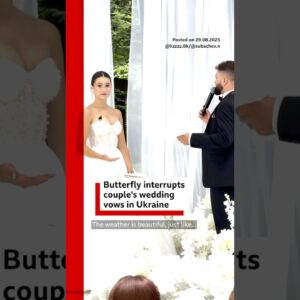 Butterfly interrupts couple's wedding vows in Ukraine. #WeddingVows #Wedding #BBCNews
