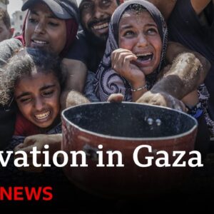 Israel blocking aid into Gaza, humanitarian agencies say | BBC News