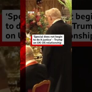 Donald Trump says "special" does not do the UK-US relationship justice. #US #UK #BBCNews