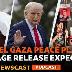 What does the next stage in the Israel-Gaza peace plan look like? | BBC Newscast