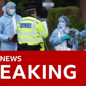 Afghan man charged with murder after dog walker killed in triple stabbing in London | BBC News