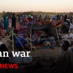 Hundreds killed at hospital in Sudan, El-Fahser | BBC News