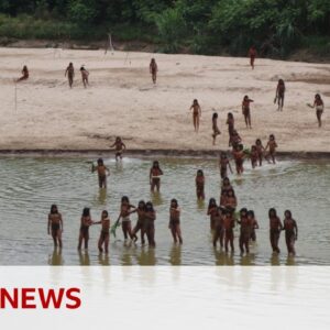 'Brothers in the forest' - the fight to protect an isolated Amazon tribe | BBC News