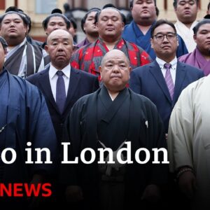 Why is a sumo tournament being held in London? | BBC News